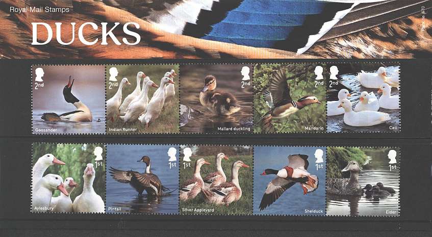 Stamp Image: view larger back view image for Ducks<br/><br/>
Pack: 670